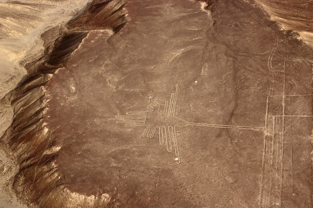 Le colibri, désert de Nazca.